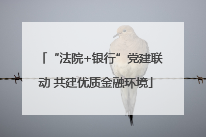 “法院+银行”党建联动 共建优质金融环境