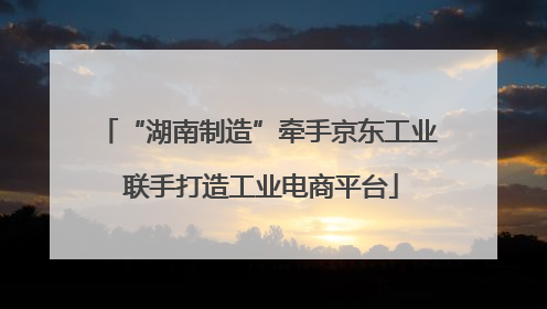 “湖南制造”牵手京东工业 联手打造工业电商平台