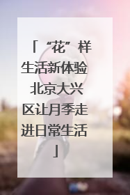 “花”样生活新体验 北京大兴区让月季走进日常生活