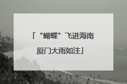 “蝴蝶”飞进海南 厦门大雨如注