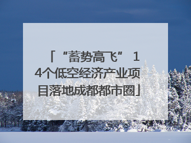 “蓄势高飞” 14个低空经济产业项目落地成都都市圈
