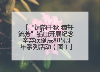 “词韵千秋 稼轩流芳”铅山开展纪念辛弃疾诞辰885周年系列活动（图）