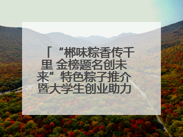 “郴味粽香传千里 金榜题名创未来”特色粽子推介暨大学生创业助力活动收官