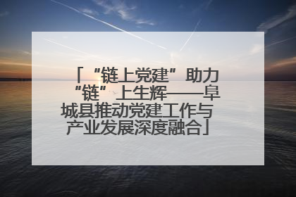 “链上党建”助力“链”上生辉——阜城县推动党建工作与产业发展深度融合
