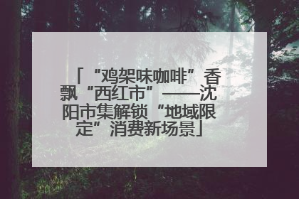 “鸡架味咖啡”香飘“西红市”——沈阳市集解锁“地域限定”消费新场景