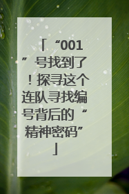 “001”号找到了！探寻这个连队寻找编号背后的“精神密码”