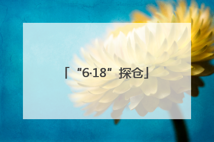 “6·18”探仓
