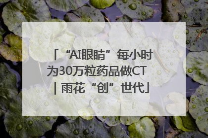 “AI眼睛”每小时为30万粒药品做CT｜雨花“创”世代