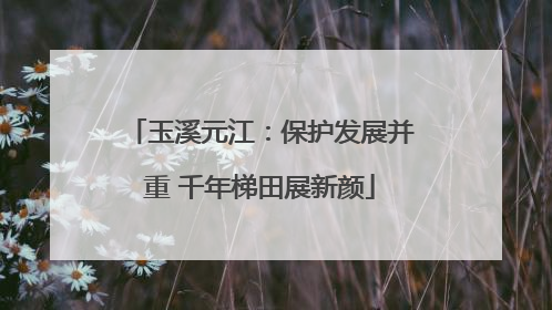 玉溪元江：保护发展并重 千年梯田展新颜