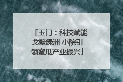 玉门：科技赋能戈壁绿洲 小院引领蜜瓜产业振兴