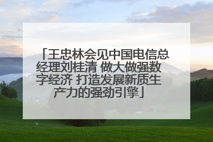 王忠林会见中国电信总经理刘桂清 做大做强数字经济 打造发展新质生产力的强劲引擎