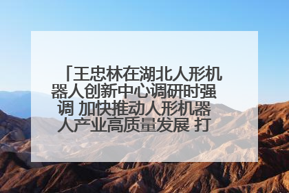 王忠林在湖北人形机器人创新中心调研时强调 加快推动人形机器人产业高质量发展 打造具有全国影响力的研发创新基地