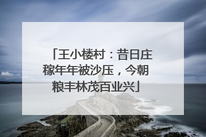 王小楼村：昔日庄稼年年被沙压，今朝粮丰林茂百业兴