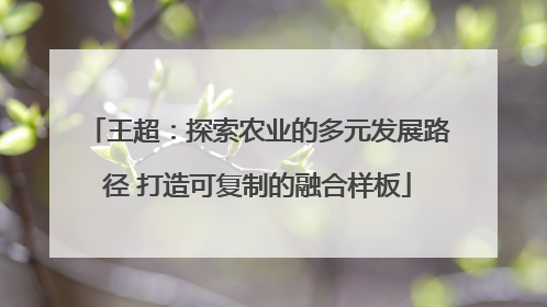王超：探索农业的多元发展路径 打造可复制的融合样板