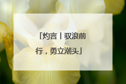 灼言丨驭浪前行，勇立潮头