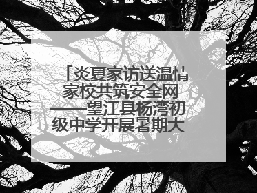 炎夏家访送温情 家校共筑安全网——望江县杨湾初级中学开展暑期大家访活动