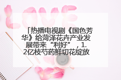 热播电视剧《国色芳华》给菏泽花卉产业发展带来“利好”，1.2亿枝芍药鲜切花绽放“国色芳华”