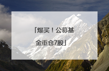 爆买！公募基金重仓7股