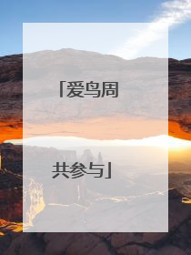爱鸟周 共参与