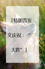 特朗普发文庆祝：“大胜”