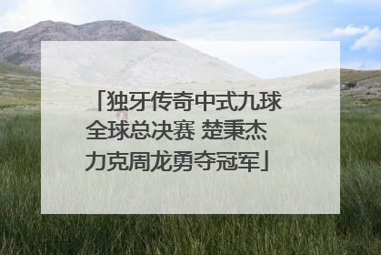 独牙传奇中式九球全球总决赛 楚秉杰力克周龙勇夺冠军