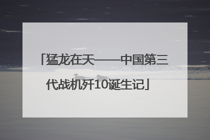 猛龙在天——中国第三代战机歼10诞生记