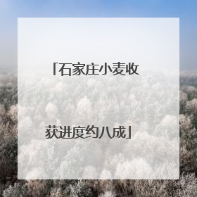 石家庄小麦收获进度约八成