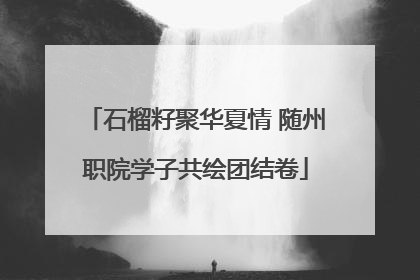 石榴籽聚华夏情 随州职院学子共绘团结卷