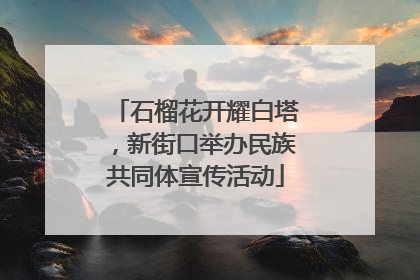 石榴花开耀白塔，新街口举办民族共同体宣传活动