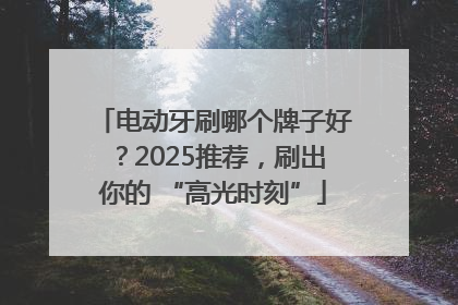 电动牙刷哪个牌子好？2025推荐，刷出你的 “高光时刻”