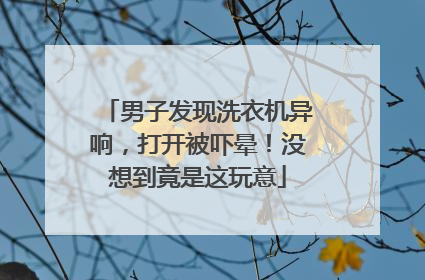 男子发现洗衣机异响，打开被吓晕！没想到竟是这玩意