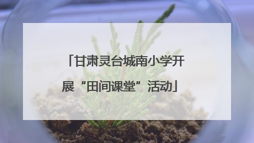 甘肃灵台城南小学开展“田间课堂”活动