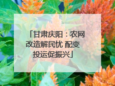甘肃庆阳：农网改造解民忧 配变投运促振兴