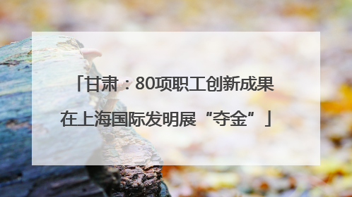 甘肃：80项职工创新成果在上海国际发明展“夺金”