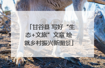 甘谷县 写好“生态+文旅”文章 绘就乡村振兴新图景