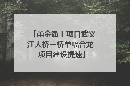 甬金衢上项目武义江大桥主桥单幅合龙 项目建设提速