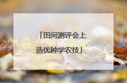 田间测评会上选优种学农技