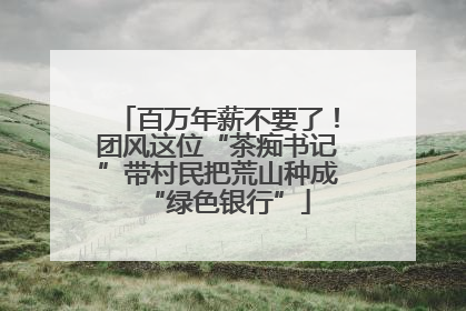 百万年薪不要了！团风这位“茶痴书记”带村民把荒山种成“绿色银行”