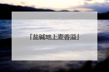 盐碱地上麦香溢