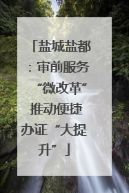 盐城盐都：审前服务“微改革” 推动便捷办证“大提升”