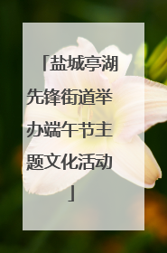 盐城亭湖先锋街道举办端午节主题文化活动