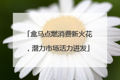 盒马点燃消费新火花，潜力市场活力迸发