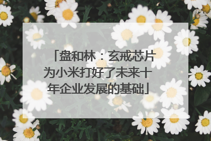 盘和林：玄戒芯片为小米打好了未来十年企业发展的基础