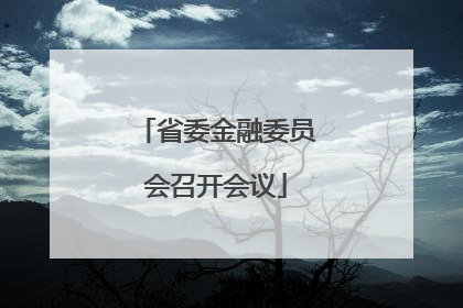 省委金融委员会召开会议