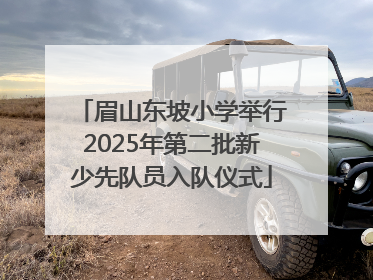 眉山东坡小学举行2025年第二批新少先队员入队仪式