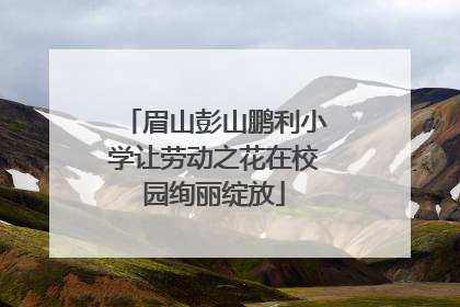 眉山彭山鹏利小学让劳动之花在校园绚丽绽放