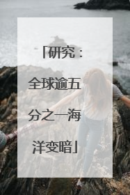 研究：全球逾五分之一海洋变暗