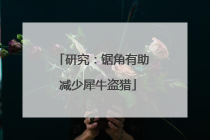 研究：锯角有助减少犀牛盗猎
