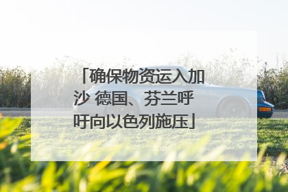 确保物资运入加沙 德国、芬兰呼吁向以色列施压