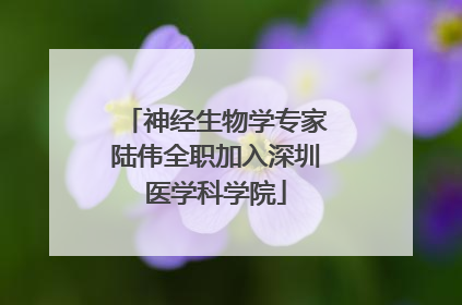 神经生物学专家陆伟全职加入深圳医学科学院